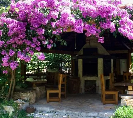 Park Apartment Sveti Filip i Jakov